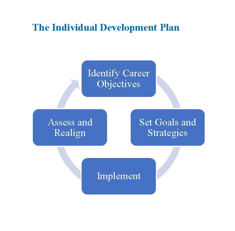 IDP Cycle - Identify Career Objectives, Set Goals and Strategies, Implement, Assess and Realign